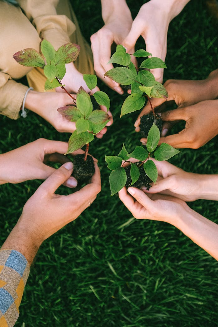 home-hero Group of diverse people planting tree saplings together, symbolizing sustainability and teamwork.