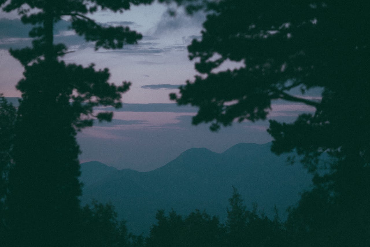 Silhouetted trees frame a misty mountain range at twilight, creating a serene atmosphere.